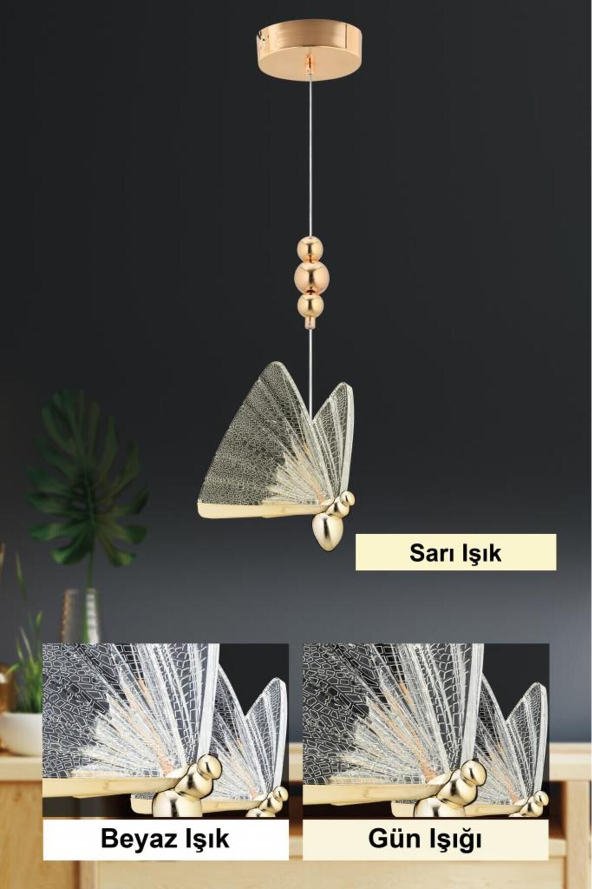 İstanbul Avize İpek Tekli Gold Ledli 3 Renk Modern Led Avize